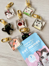 Load image into Gallery viewer, Pixel Cat Memes Gacha Bags